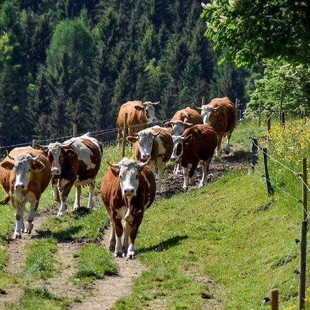 Urlaub Auf Dem Haberlhof Villa Лоберг Екстериор снимка