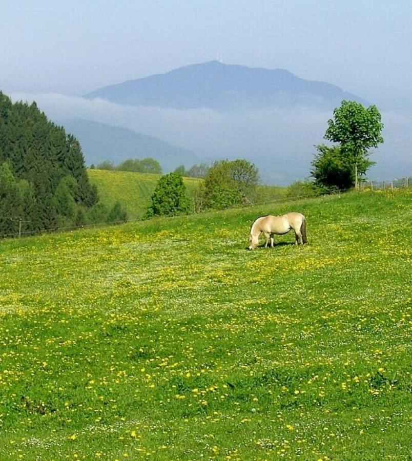 Urlaub Auf Dem Haberlhof Villa Лоберг Екстериор снимка