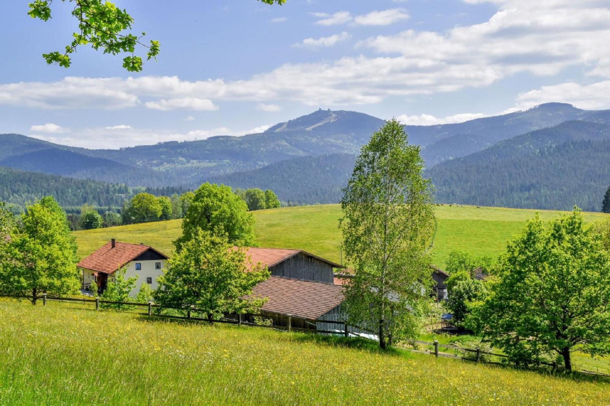 Urlaub Auf Dem Haberlhof Villa Лоберг Екстериор снимка